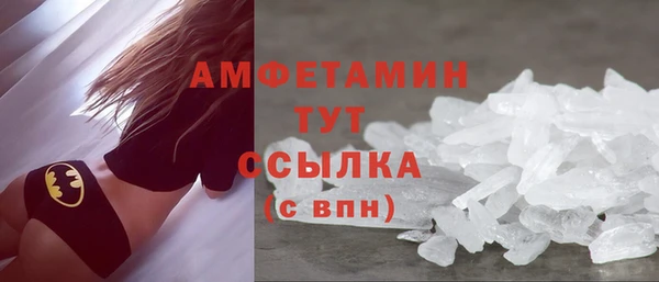 прущий лед Богданович