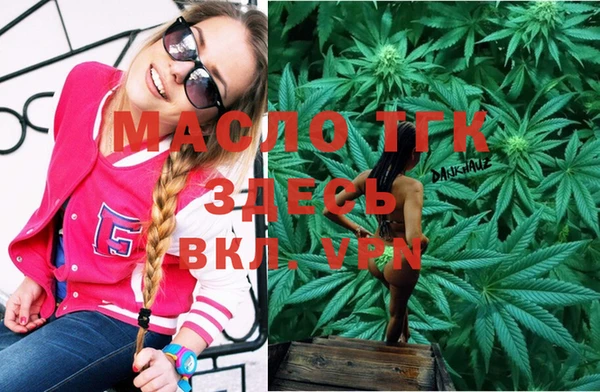 прущий лед Богданович