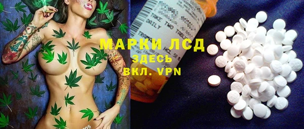прущие грибы Белокуриха