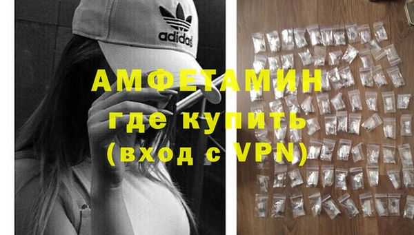 прущие грибы Белокуриха