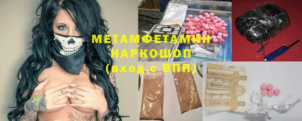 прущие грибы Белокуриха