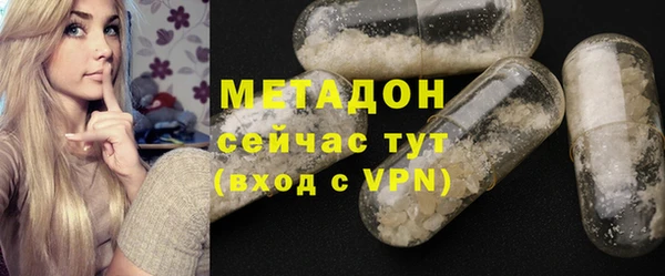 прущие грибы Белокуриха