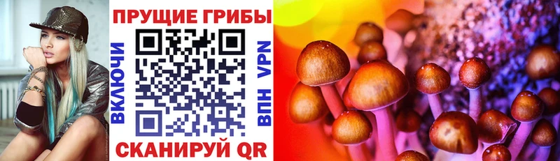 Псилоцибиновые грибы GOLDEN TEACHER  Купить закладки  Асбест 